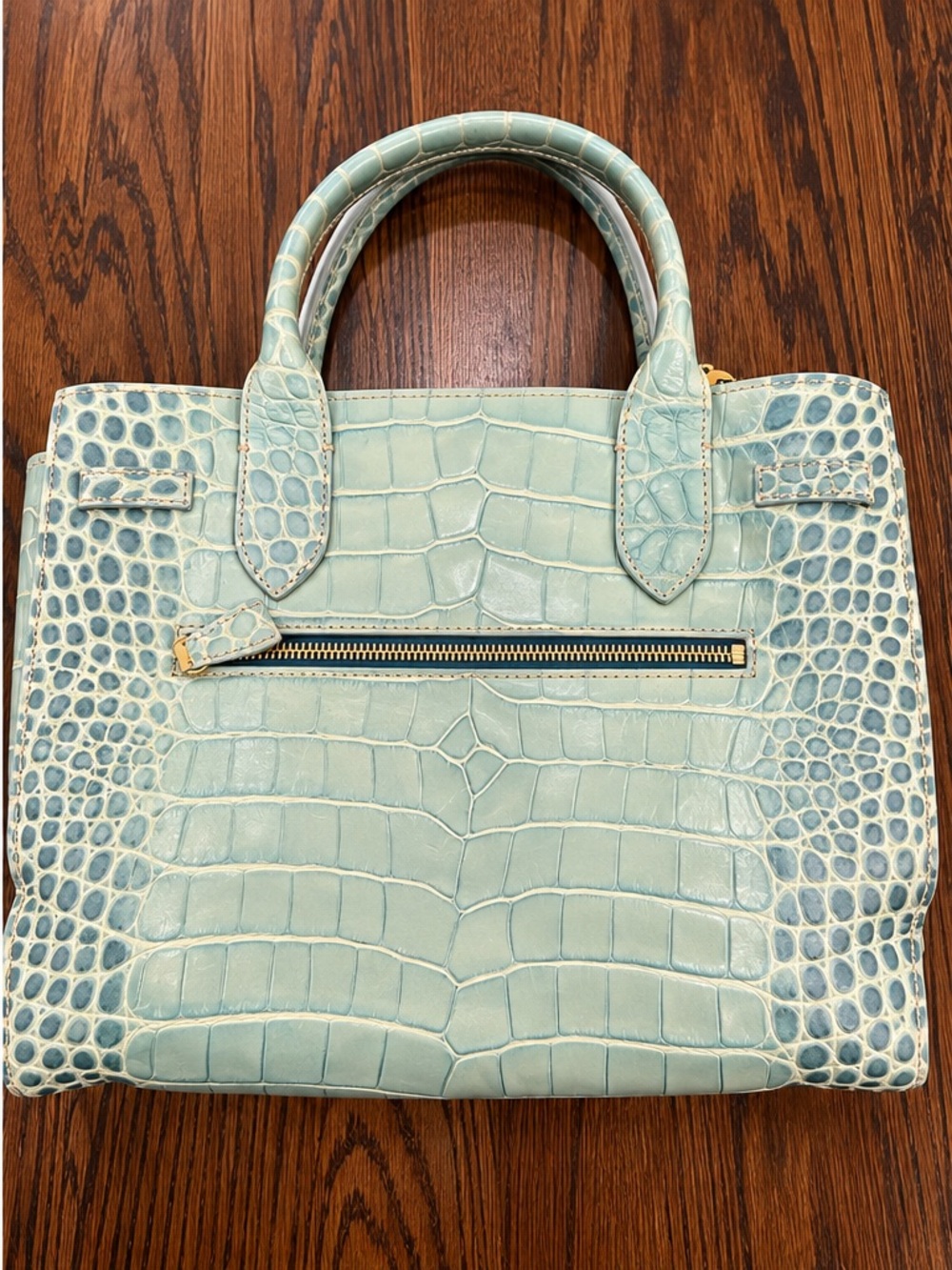 Dooney & Bourke Turquoise Croc-Embossed Leather Satchel with Gold-Tone Accent